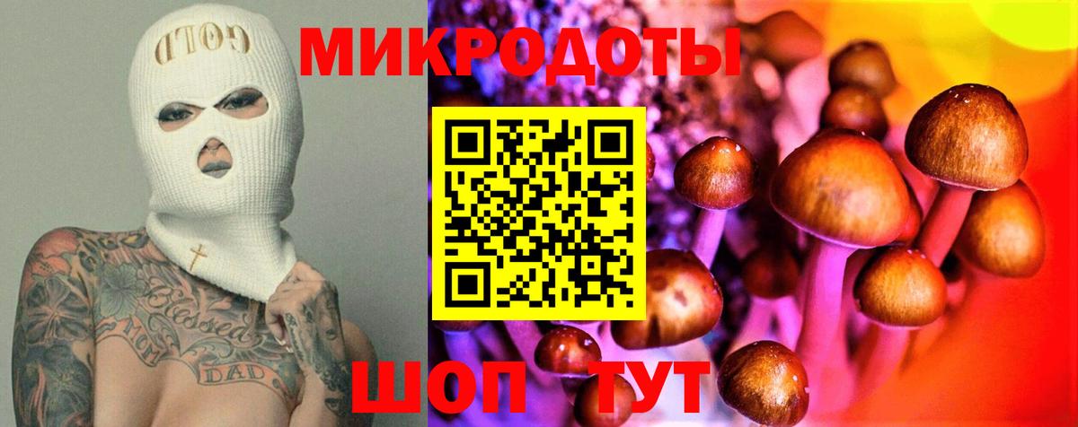 наркошоп  Вход с VPN  Мурино  Галлюциногенные грибы Psilocybine cubensis  Псилоцибиновые грибы мухоморы 